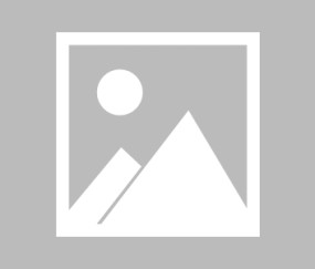 九游会在线 -窊efmowjk